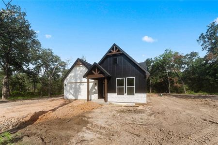 New construction Single-Family house 24760 Meath Street, Hempstead, TX 77445 - photo 3 3