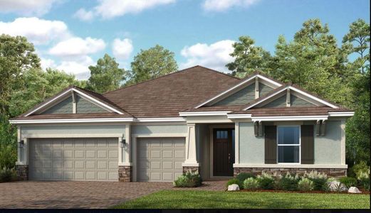 New construction Single-Family house 16224 Alpha Grove Place, Odessa, FL 33556 Saint Croix- photo 0