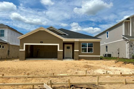 New construction Single-Family house 924 Pointe Emerson Boulevard, Apopka, FL 32703 Piedmont - Eco Series- photo 13 13