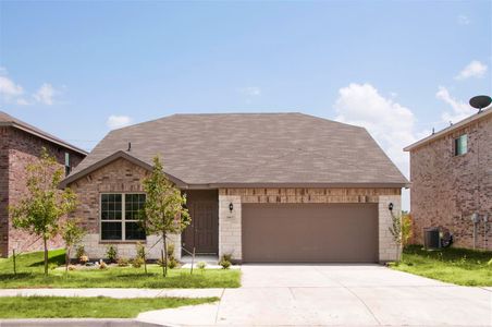 New construction Single-Family house Walnut, 3924 Hometown Boulevard, Heartland, TX 75114 - photo
