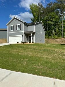 New construction Single-Family house 8630 Paradise (Lot 52) Drive, Douglasville, GA 30134 Mitchell- photo 13 13
