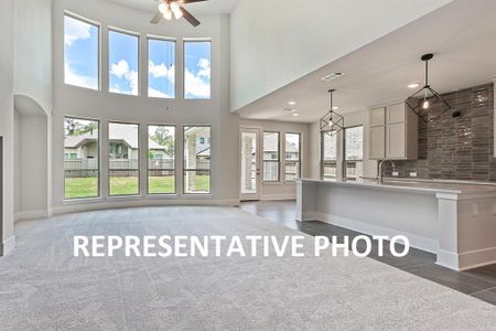 New construction Single-Family house 125 Old Eagle Rd, Georgetown, TX 78633 The Carter IX- photo 3 3
