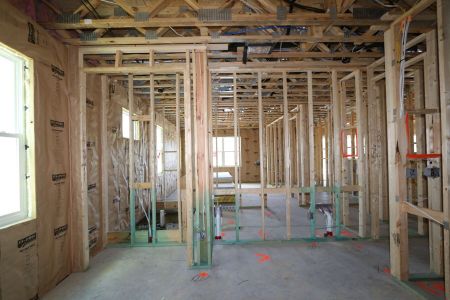 New construction Single-Family house 7783 Notched Pine Bend, Wesley Chapel, FL 33545 Corina II Bonus- photo 33 33