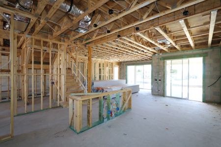 New construction Single-Family house 31810 Sapna Chime Drive, Wesley Chapel, FL 33545 Mira Lago- photo 46 46