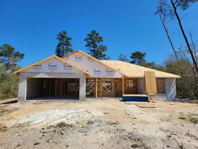 New construction Single-Family house 4555 158th Street Road, Ocala, FL 34473 - photo