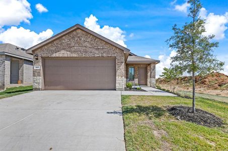 New construction Single-Family house 200 Running River Drive, Boyd, TX 76023 AMBER- photo 0