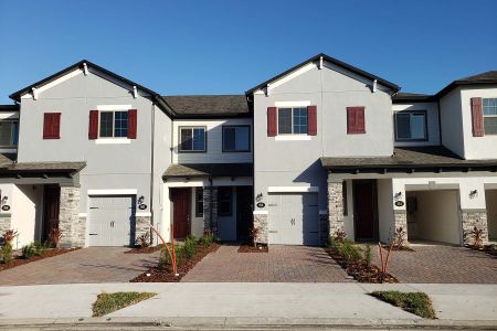 Tyson Ranch by M/I Homes in Orlando - photo 15