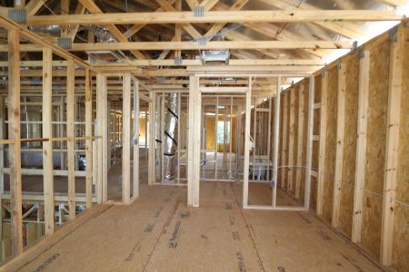 New construction Single-Family house 5263 Peony Court, Lakeland, FL 33811 Mira Lago- photo 13 13