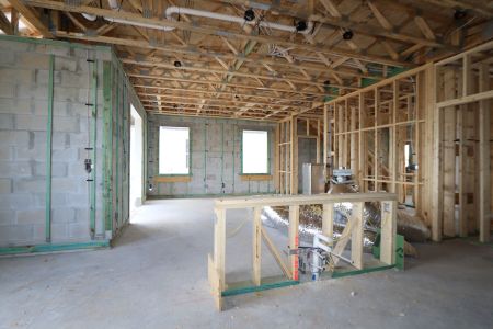 New construction Single-Family house 5254 Currant Street, Lakeland, FL 33811 Marina- photo 21 21
