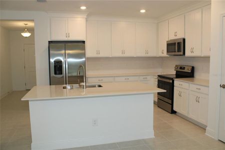New construction Single-Family house 9221 Westernwoods Avenue, Parrish, FL 34219 Camelia- photo 5 5
