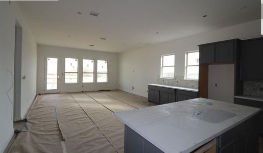 New construction Single-Family house 209 Gladiolus Trl, Georgetown, TX 78628 - photo 4