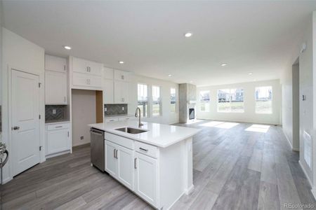 New construction Single-Family house 1905 Water Birch Way, Castle Rock, CO 80108 - photo 6 6