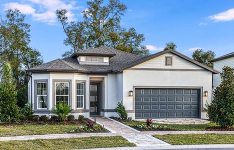 New construction Single-Family house 8455 Sw 55Th Street Rd, Ocala, FL 34481 Mainstay- photo 0