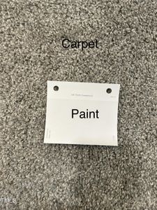 BS43 Carpet and Paint