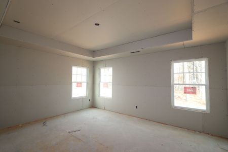 New construction Single-Family house 3056 June Lake Station, Apex, NC 27502 Viola - Premier Collection- photo 47