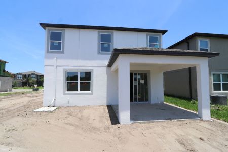 New construction Single-Family house 2463 Sunny Pebble Loop, Zephyrhills, FL 33540 Castellana- photo 108 108