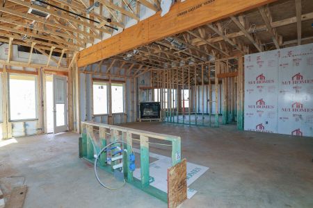 New construction Single-Family house 5213 Estates Oak Way, San Antonio, TX 78263 Blanco- photo 10 10
