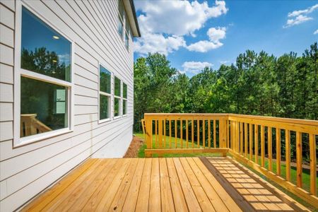 New construction Single-Family house 350 Persian Ivy Way, Dallas, GA 30132 Dakota- photo 50 50