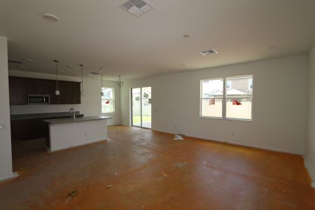 New construction Single-Family house 2463 Sunny Pebble Loop, Zephyrhills, FL 33540 Castellana- photo 101 101