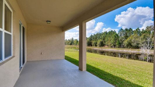 New construction Single-Family house 17270 Blazing Star Circle, Clermont, FL 34714 - photo 22 22