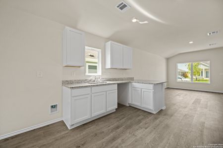 New construction Single-Family house 13856 Hidden Oasis, San Antonio, TX 78253 RC Monaco II- photo 4 4