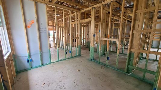 New construction Single-Family house 919 Pinyon Pine Pass, Hutto, TX 78634 Livingston- photo 12 12