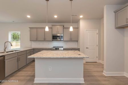 New construction Single-Family house 1633 Fire Tower Road, Sanford, NC 27330 - photo 8 8