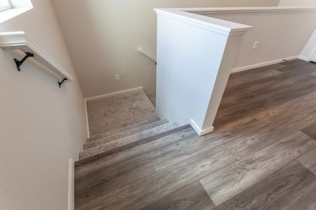 New construction Condo/Apt house 2908 Conquest Street, Fort Collins, CO 80524 - photo 8 8