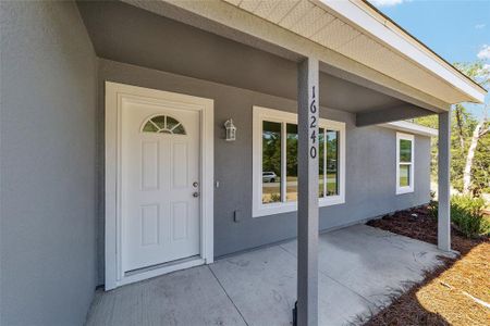 New construction Single-Family house 7743 Sw 146Th Lane Road, Ocala, FL 34473 - photo 29 29