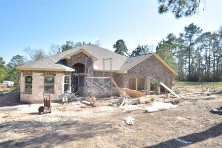 New construction Single-Family house 110 Noah Court, Livingston, TX 77320 - photo