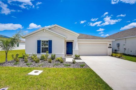 New construction Single-Family house 26332 Feathergrass Circle, Leesburg, FL 34748 - photo 1 1