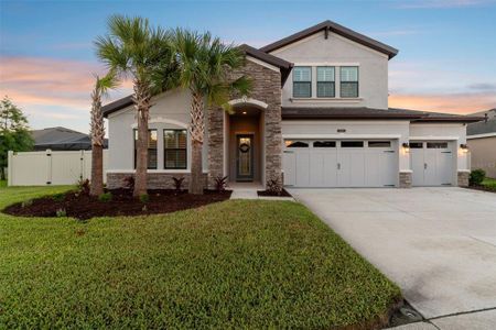 New construction Single-Family house 21865 Emory Oak Place, Land O' Lakes, FL 34637 - photo 0 0