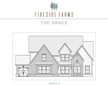 New construction Single-Family house 7535 Fireside Farm Drive, Dawsonville, GA 30534 - photo 3 3