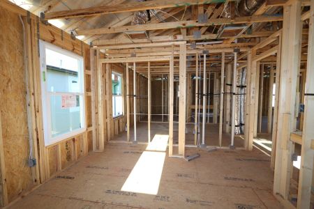 New construction Single-Family house 5254 Currant Street, Lakeland, FL 33811 Marina- photo 40 40