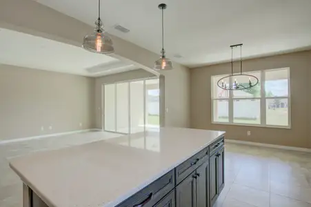 New construction Single-Family house Silver Springs, FL 34488 - photo 4 4