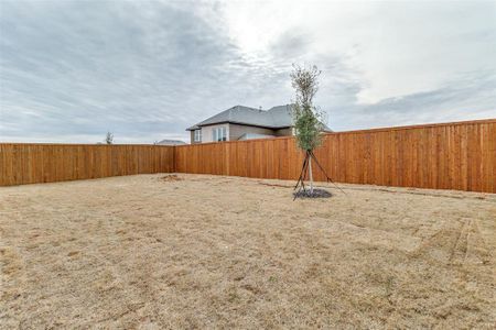 New construction Single-Family house 1213 Lavinola Lane, Anna, TX 75409 - photo 24 24