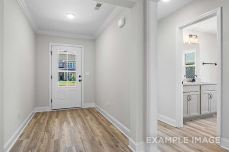 Entryway featuring plenty of natural light, light hardwood / wood-style flooring, sink, and crown molding