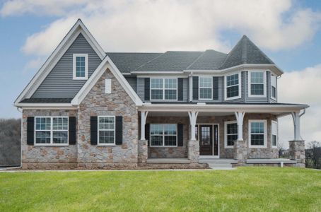 New construction Single-Family house Wilbanks Drive, Charlotte, NC 28278 - photo 161 161