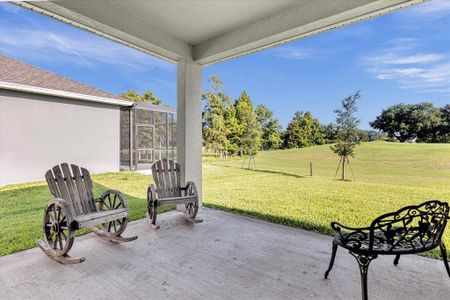 New construction Single-Family house 30025 Island Club Dr, Tavares, FL 32778 - photo 26 26