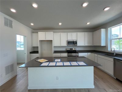 New construction Single-Family house 3984 N Picadilly Court, Aurora, CO 80019 Evans- photo 10 10