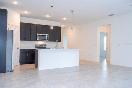New construction Single-Family house 17005 Sw 25Th Terrace Road, Ocala, FL 34473 - photo 17 17