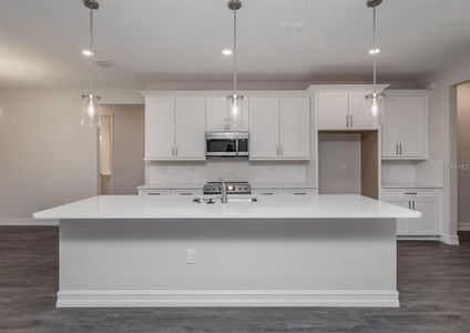New construction Single-Family house 6103 N Nakoma Drive, Beverly Hills, FL 34465 - photo 4 4