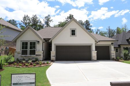 New construction Single-Family house 116 Pineview Cove Court, Montgomery, TX 77316 Bluebird- photo 0 0