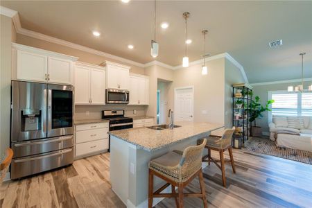 New construction Single-Family house 1408 E Seattle Slew Circle, Inverness, FL 34453 - photo 10 10
