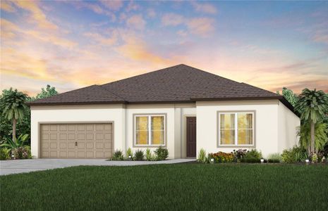 New construction Single-Family house 12113 Orchid Ash Street, Riverview, FL 33579 - photo 0