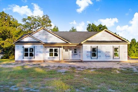 New construction Single-Family house 7207 Hickory Crossroads Road, Princeton, NC 27569 - photo 0