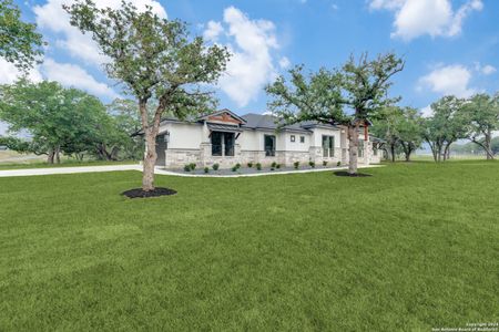 New construction Single-Family house 169 Crescent Ridge, Adkins, TX 78101 - photo 4 4