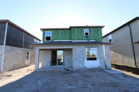 New construction Single-Family house 5254 Currant Street, Lakeland, FL 33811 Marina- photo 41 41
