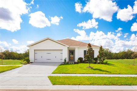 New construction Single-Family house 1546 Finnigan Circle, Haines City, FL 33844 Palm- photo 1 1