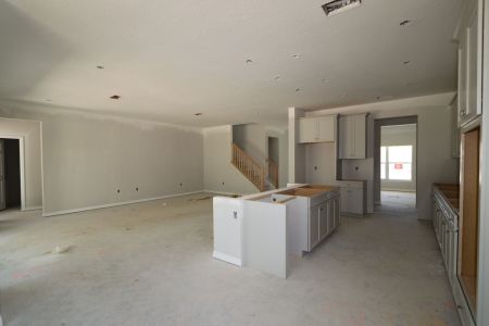 New construction Single-Family house 12114 Hilltop Farms Drive, Dade City, FL 33525 Alenza- photo 100 100